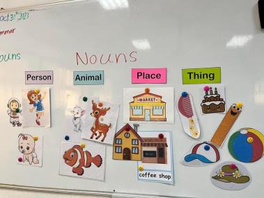 Classify the nouns Activity 